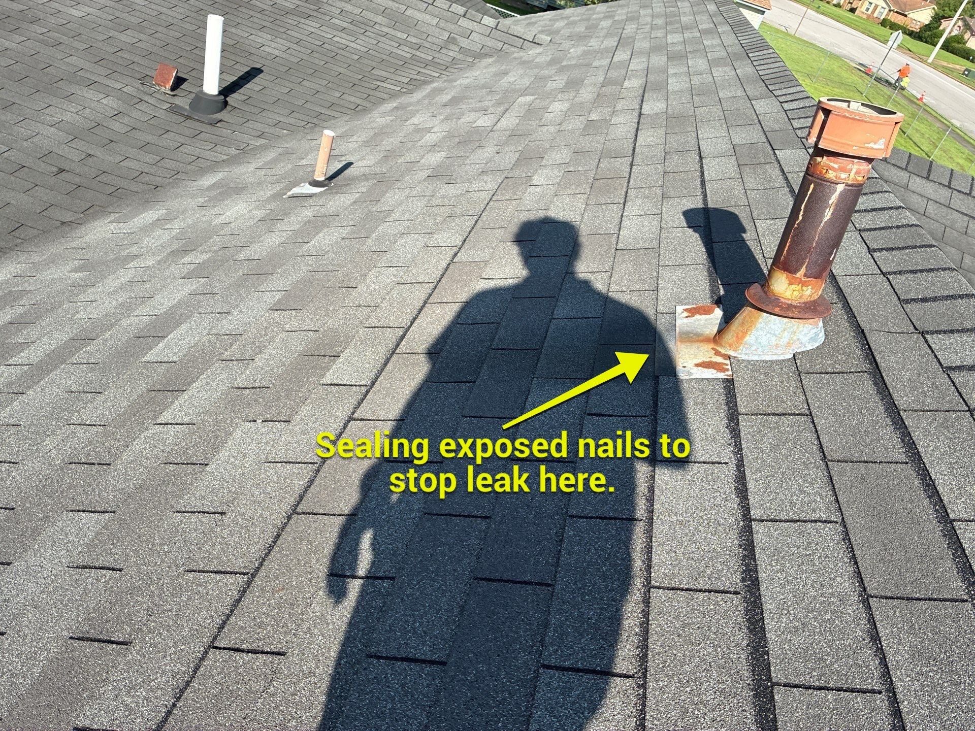 Roof Repairs